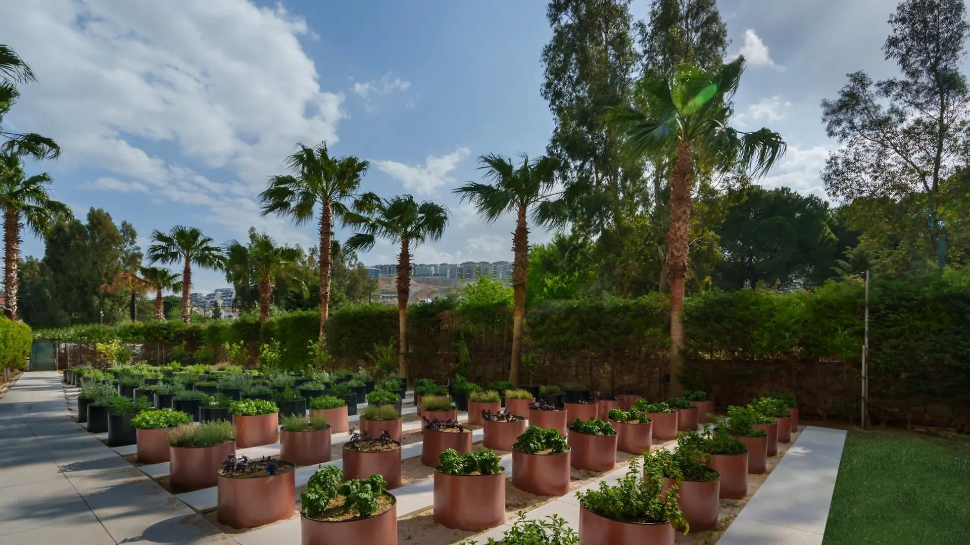 Liberty Kusadasi